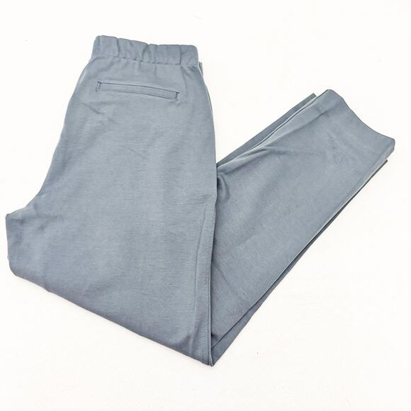 Everlane Sweat Seam Pleat Comfort Straight Leg Jogger Style Pant Size L - Picture 9 of 9